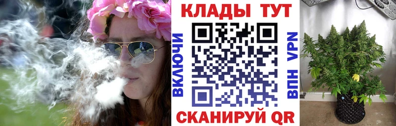 Купить наркотики цена Егорьевск МЕГА зеркало  COCAIN  ГАШ  Амфетамин  Конопля  A-PVP 