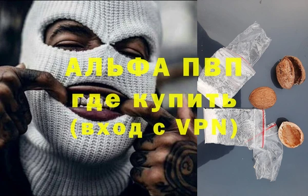 прущие грибы Абаза